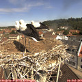 10_55-nest.jpg