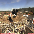 11_00-nest.jpg
