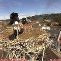 11_05-nest.jpg