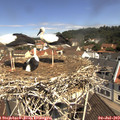 11_15-nest.jpg
