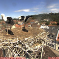 11_30-nest.jpg