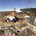 12_05-nest.jpg