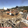 12_30-nest.jpg