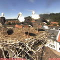 13_45-nest.jpg