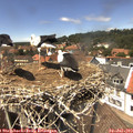 13_55-nest.jpg