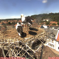 14_15-nest.jpg
