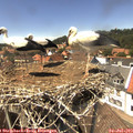 14_20-nest.jpg
