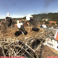 14_30-nest.jpg