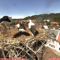 14_35-nest.jpg