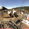 14_45-nest.jpg