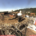15_05-nest.jpg