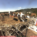 15_10-nest.jpg