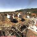 15_25-nest.jpg
