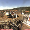 15_35-nest.jpg