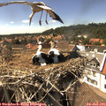 15_40-nest.jpg