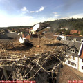 16_45-nest.jpg