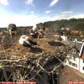 16_50-nest.jpg