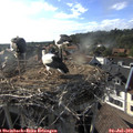 18_10-nest.jpg