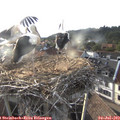 19_10-nest.jpg