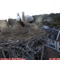 20_10-nest.jpg
