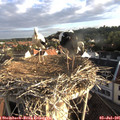 07_05-nest.jpg