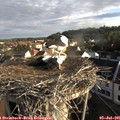 07_25-nest.jpg