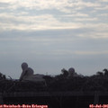 07_50-mast.jpg