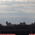 07_55-mast.jpg