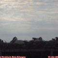 08_00-mast.jpg