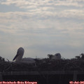 08_05-mast.jpg