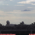 08_15-mast.jpg