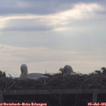 08_30-mast.jpg