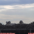 08_35-mast.jpg