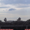 08_40-mast.jpg