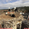 09_30-nest.jpg