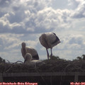 09_35-mast.jpg