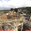 09_35-nest.jpg