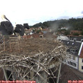 10_15-nest.jpg