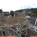 10_20-nest.jpg