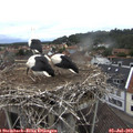 10_40-nest.jpg