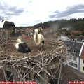 13_20-nest.jpg