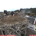 14_30-nest.jpg