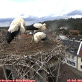 14_45-nest.jpg