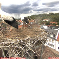 14_55-nest.jpg