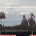 16_05-mast.jpg