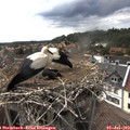 16_45-nest.jpg