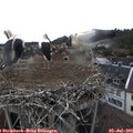 17_00-nest.jpg