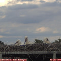 19_10-mast.jpg