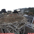 11_50-nest.jpg