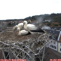 15_45-nest.jpg